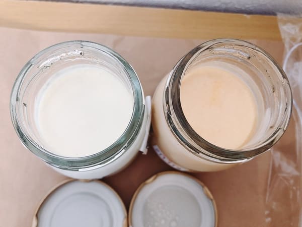よう治のプリンの中身